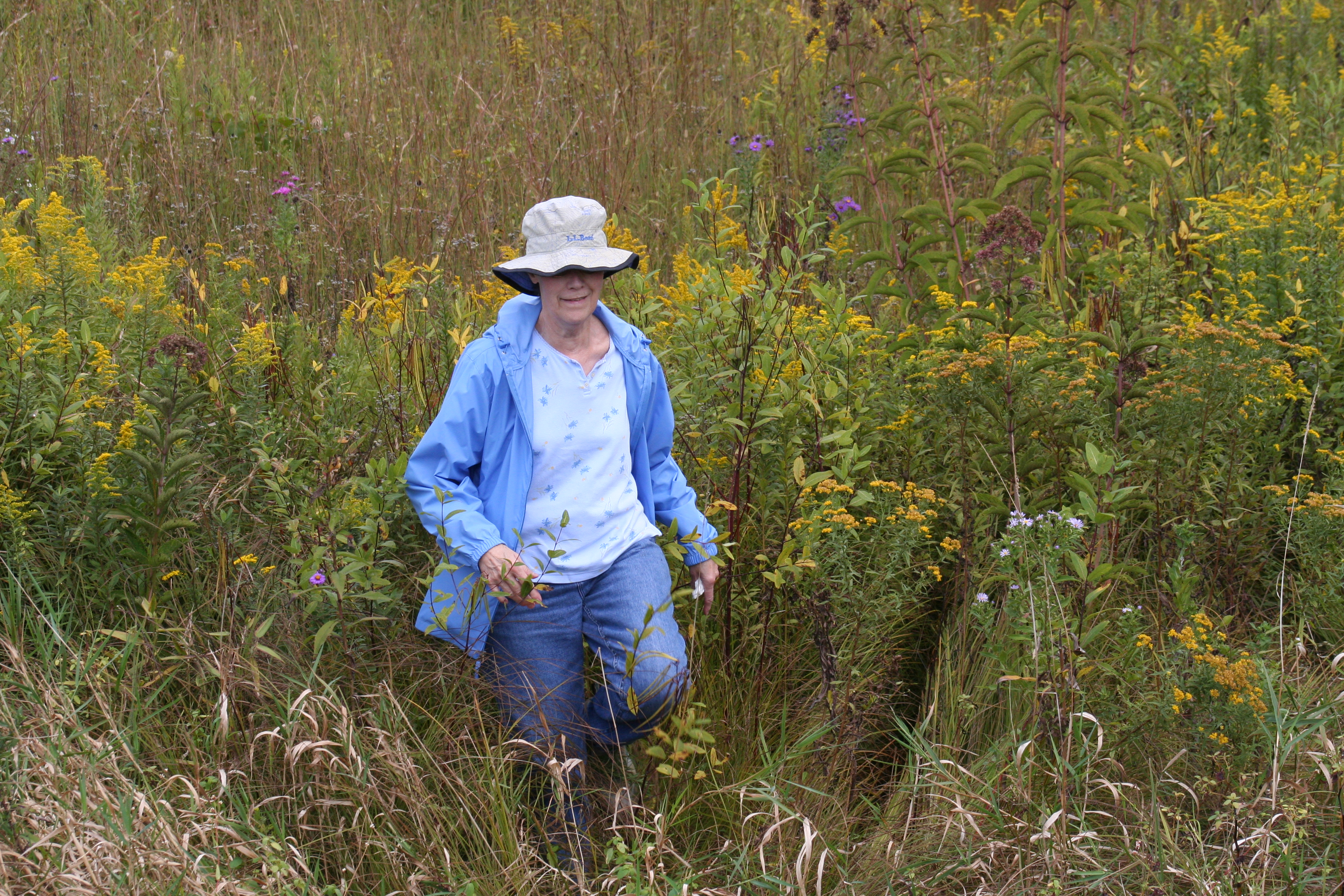 Mom in a meadow, on a beautiful afternoon together.