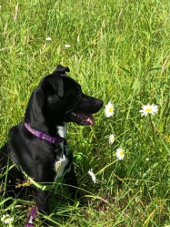 Stop and smell the daisies.